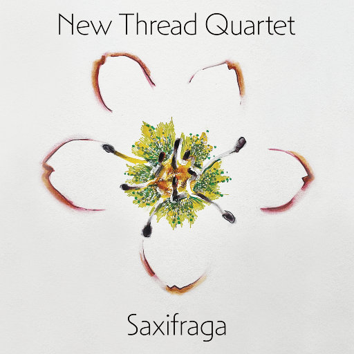 嘼皇bestieitrseX录像
